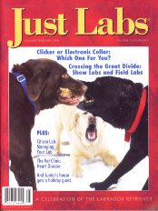 Order this back issue!