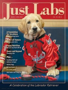 In Their Debt: Hockey Dogs - Just Labs Magazine